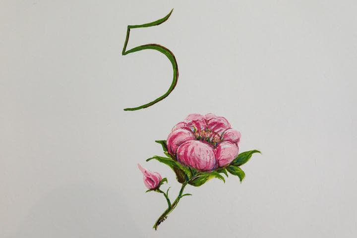 Photo 5