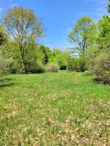 Smith Road Lot 40, Onekama, MI 49675