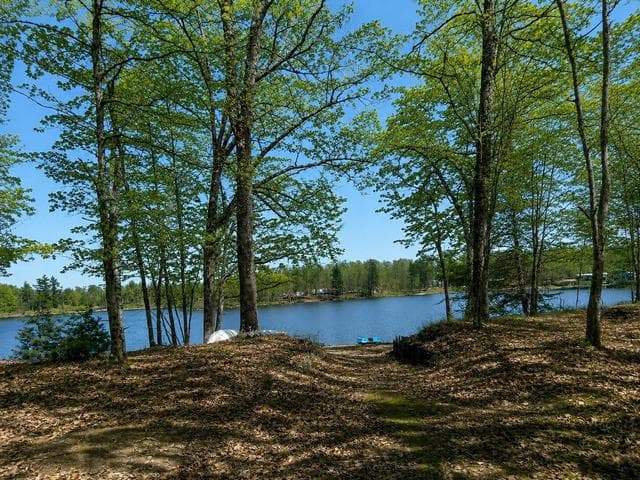10746 N Beaver Trail, Bitely, MI 49309