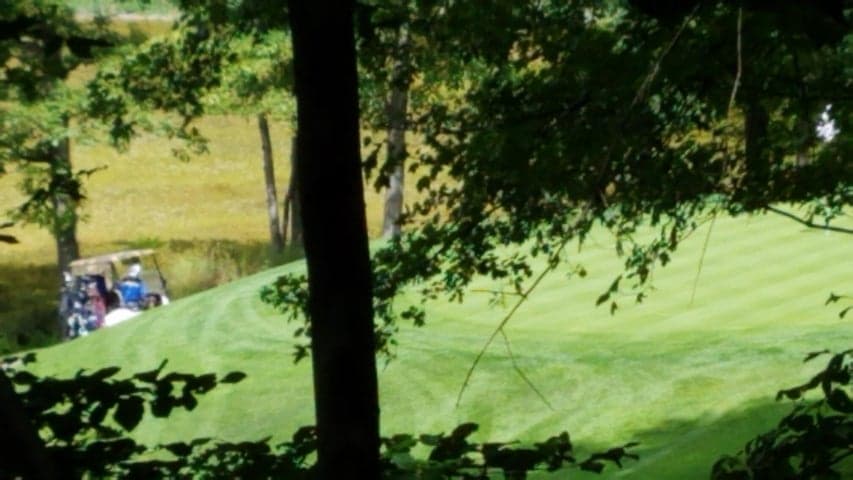 11010 Shawnee Trail #229, Stanwood, MI 49346
