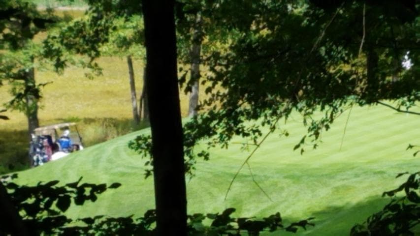 11010 Shawnee Trail #229, Stanwood, MI 49346