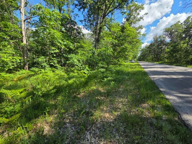 V/L S Astor Rd., Baldwin, MI 49304