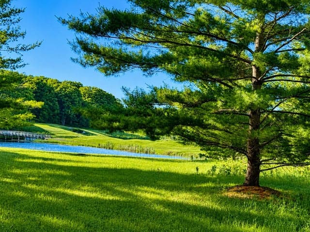 8988 Rambling Way 24, Canadian Lakes, MI 49346