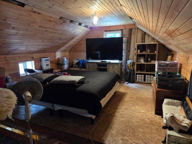 Photo 5