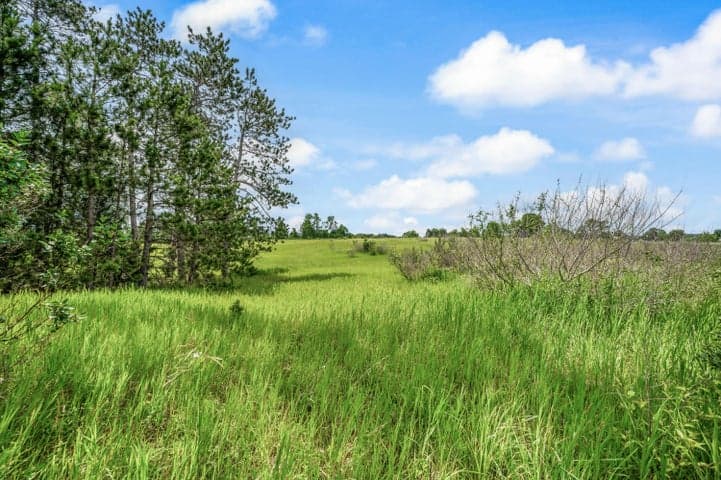 13751 Mackinaw Trail, Leroy, MI 49655
