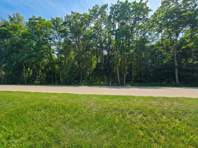 V/L E Washington Street, Greenville, MI 48838