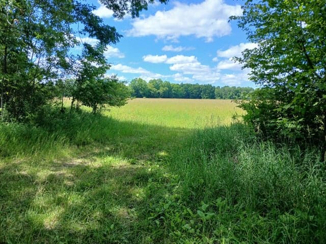 20A V/L N Stephens Road, Custer, MI 49405