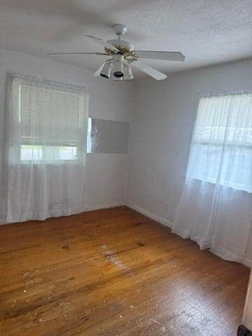 Photo 5