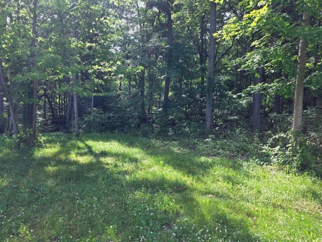 17641 Summerhill Lane 61, New Buffalo, MI 49117