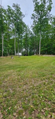 10527 Wampum Trail, Evart, MI 49631