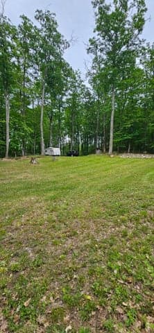 10527 Wampum Trail, Evart, MI 49631