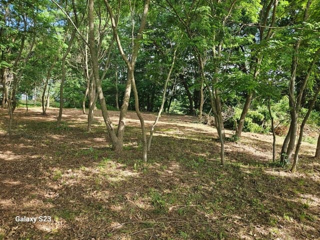12269 Coral Road, Coral, MI 49322