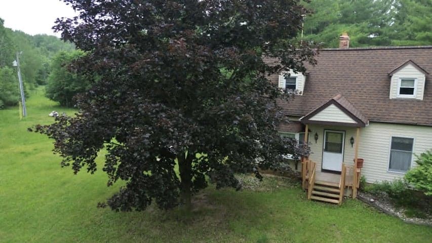 21632 90th Avenue, Evart, MI 49631