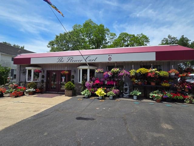 1124 N 5th Street, Niles, MI 49120