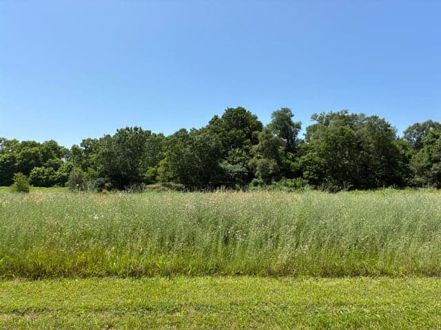 256 VAN BRUGGEN Street 4, Galesburg, MI 49053