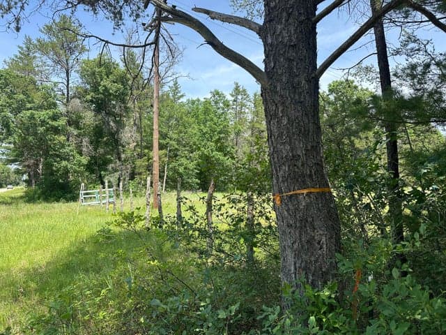 00 S Broadway Street, Idlewild, MI 49642