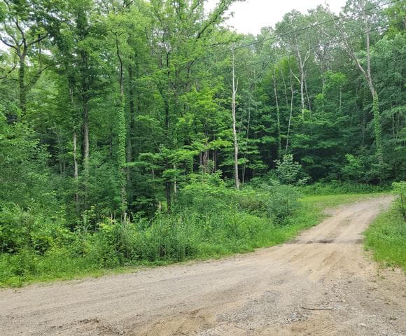 2996 Court Drive SE, Lowell, MI 49331