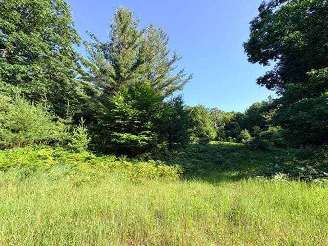 Wildwood Trail Lot A, Manistee, MI 49660