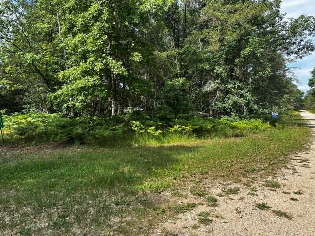 VL W Airpark Drive, Luther, MI 49656