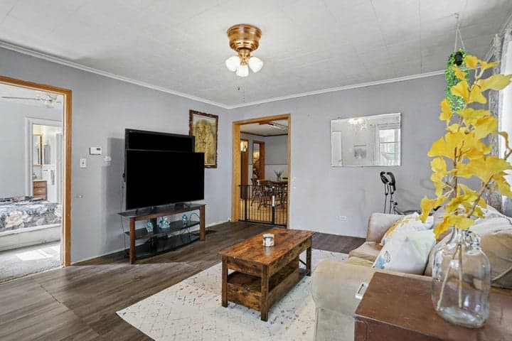 Photo 5