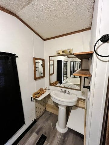Photo 3
