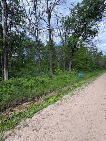V/L Lots 11-21 E Lynndon Street, Idlewild, MI 49642
