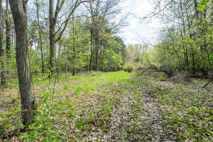 0A Linke Rd Road, Bridgman, MI 49106