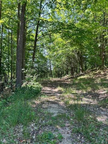 313 W Spruce Street E, Big Rapids, MI 49307