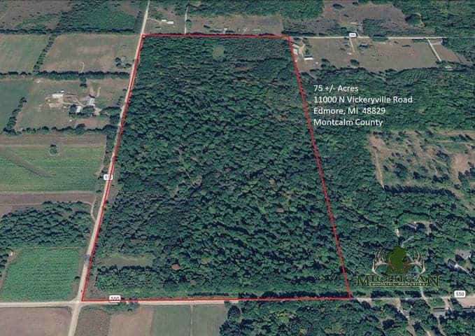11000 N Vickeryville Road, Edmore, MI 48829