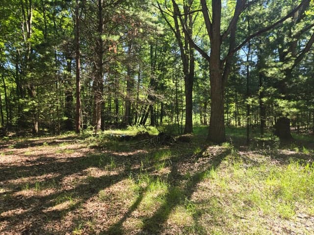 704 N Morris Street, Pentwater, MI 49449