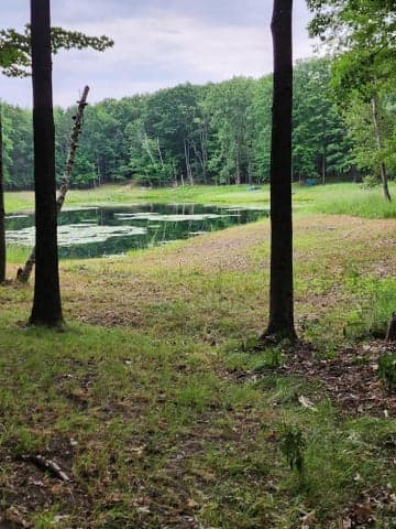 1631 Laurel Lane, Farwell, MI 48622