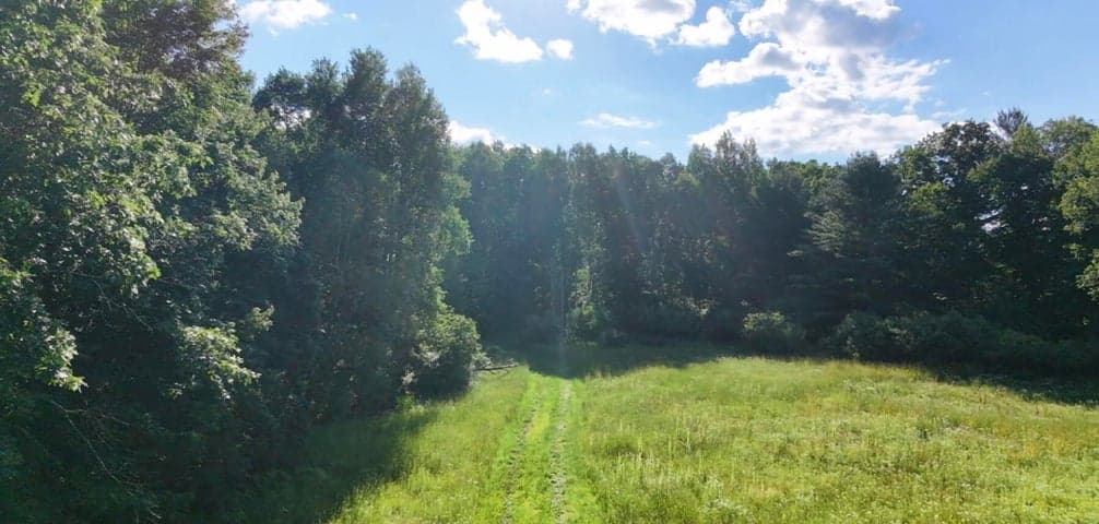 V/L Woods Road, Sidney, MI 48885