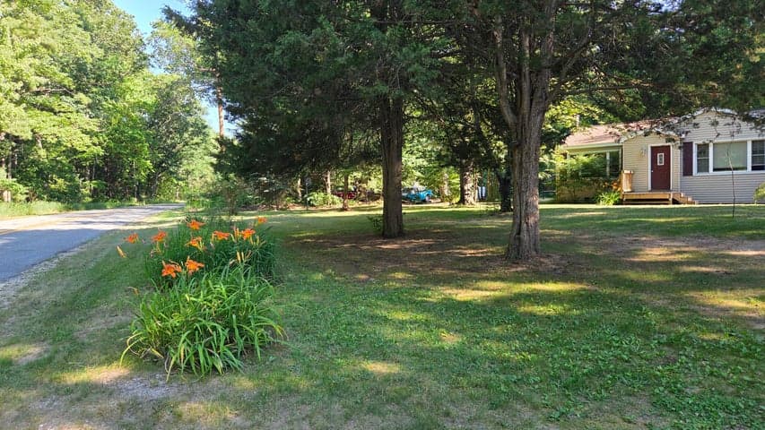Photo 4