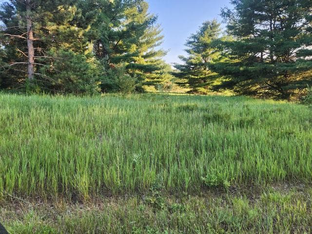 11535 Pierce Road 786, Canadian Lakes, MI 49346