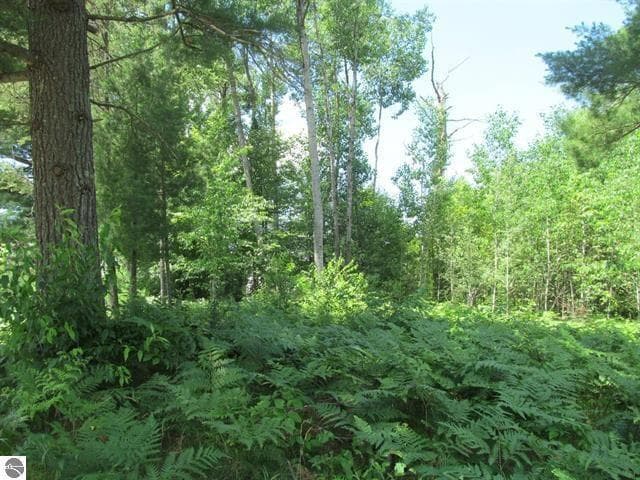 63 White Pine Drive, Cadillac, MI 49601
