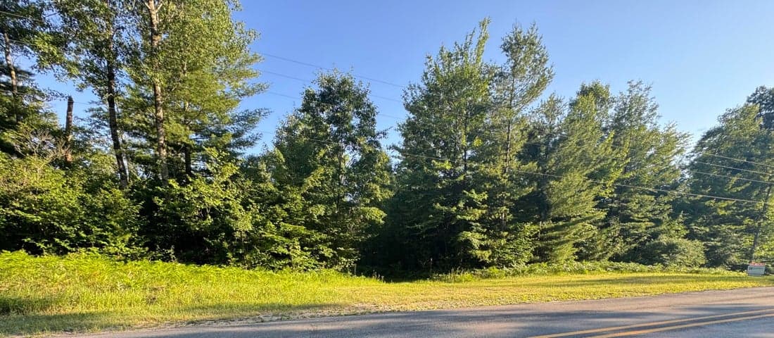 V/L E 8 Mile Road, Luther, MI 49656