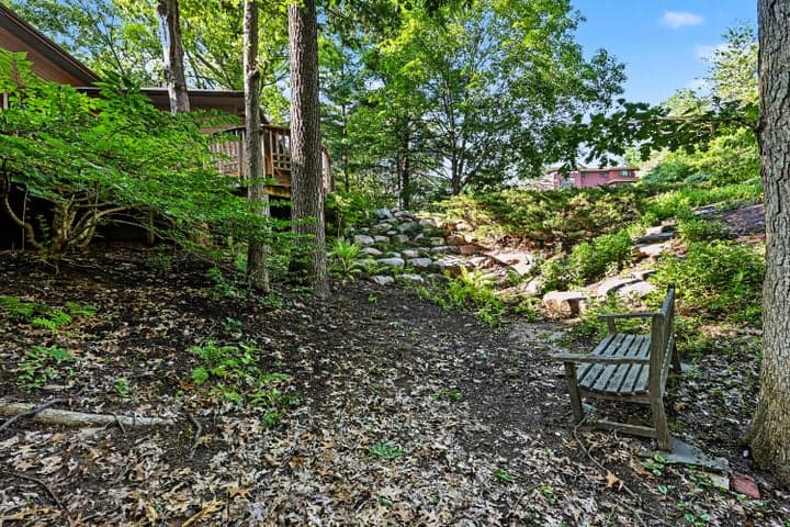 Photo 5