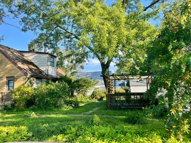 Photo 4