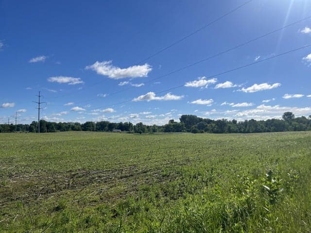 0 Fahrner Road, Chelsea, MI 48118
