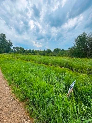 60196 County Road 376, Bangor, MI 49013