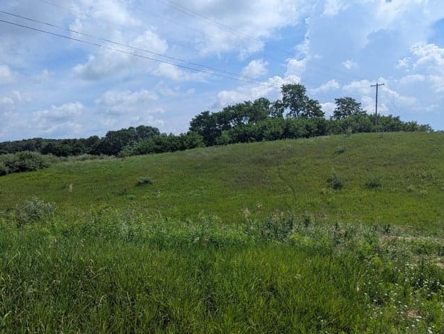 Lot 1 Vicary Road, Cement City, MI 49233