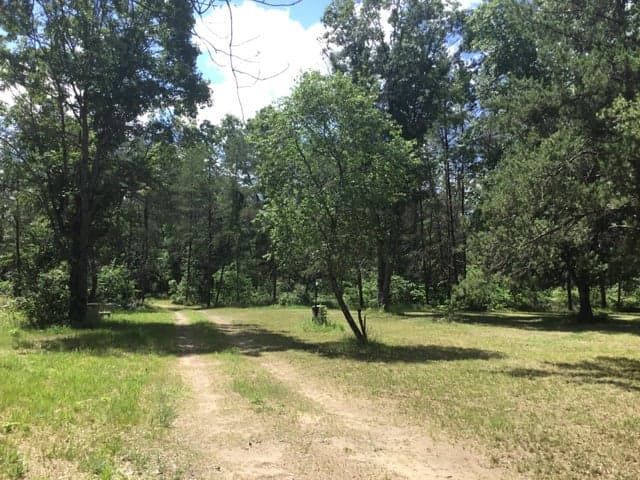 2597 E Gladys Street, Idlewild, MI 49642