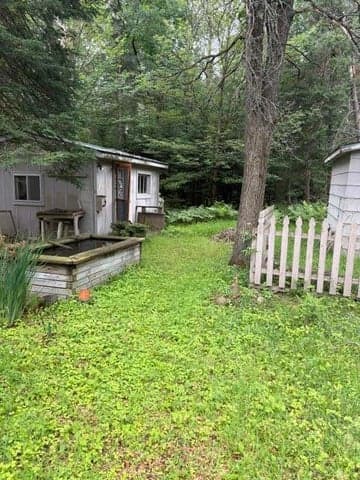 Photo 4