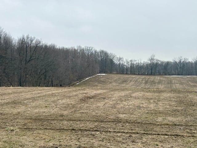 210 W Wagner Road, Buchanan, MI 49107