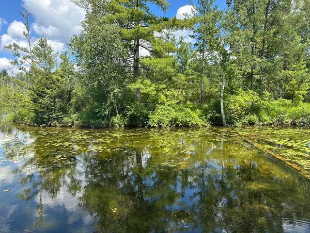 1743 W 68th Street, Baldwin, MI 49304
