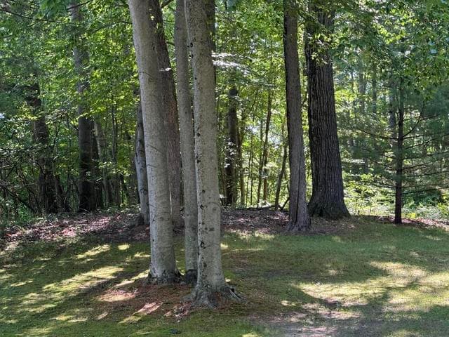 4925 Parcel 3 S Gordon Avenue NE, Newaygo, MI 49337