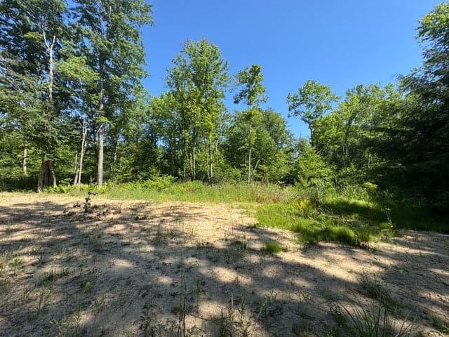 3181 53rd Street, Grand Junction, MI 49056