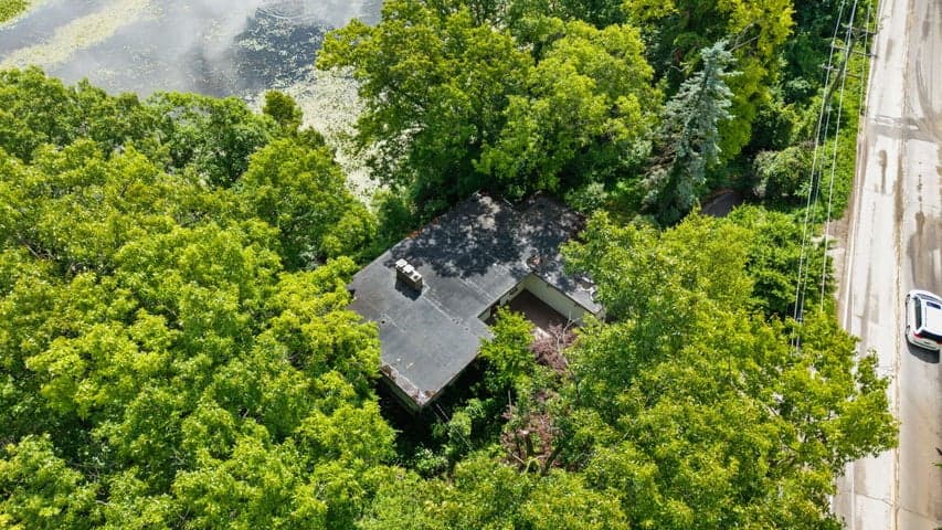 Photo 3