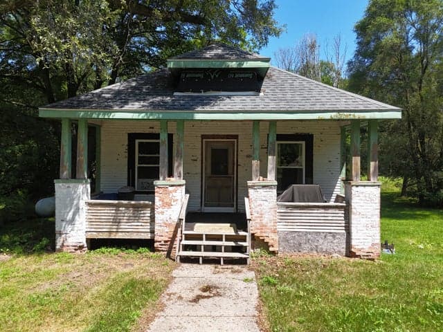 Photo 5