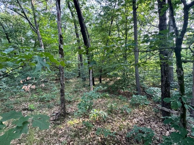 V/l E Washington Street, White Cloud, MI 49349